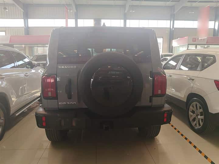 Фото 6 - Tank 300