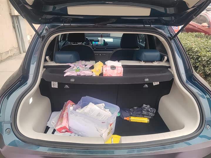 Фото 4 - Ora Good Cat (03)