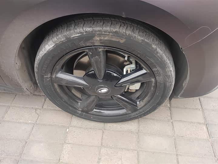 Фото 6 - Ora Good Cat (03)