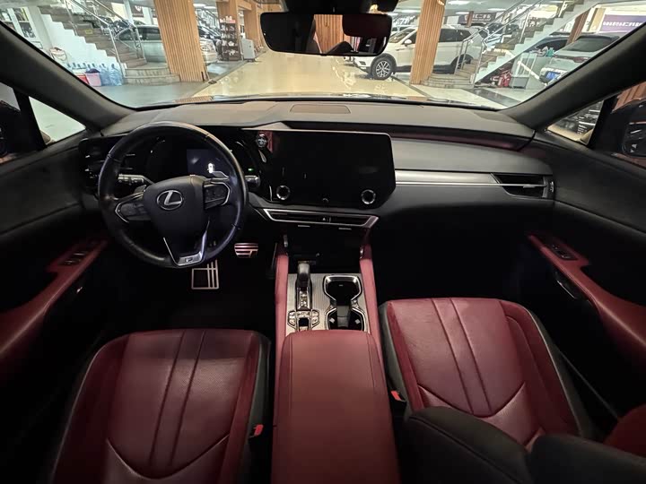 Фото 5 - Lexus RX