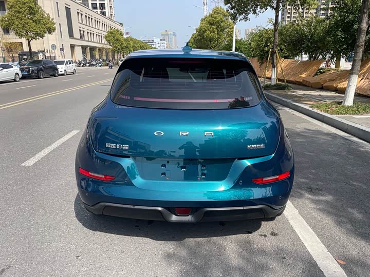 Фото 9 - Ora Good Cat (03)