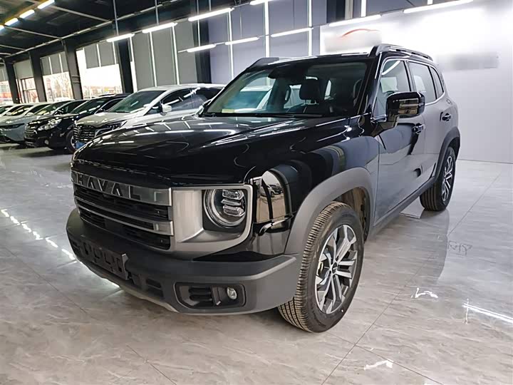 Фото 1 - Haval Dargo