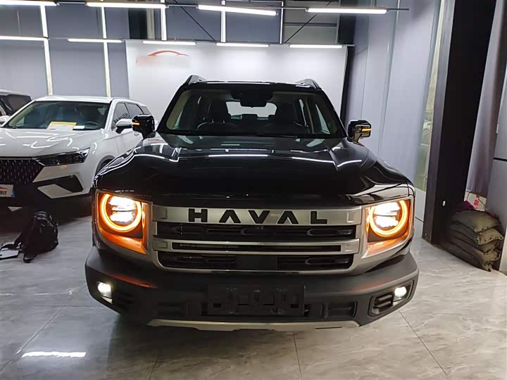 Фото 3 - Haval Dargo