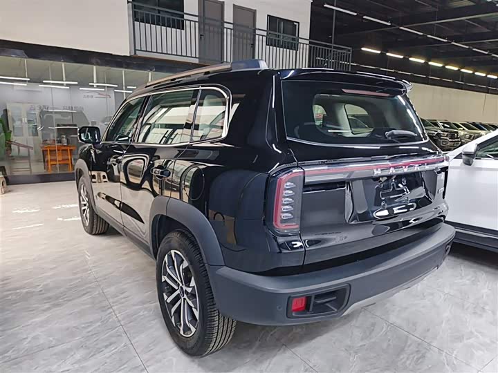 Фото 5 - Haval Dargo