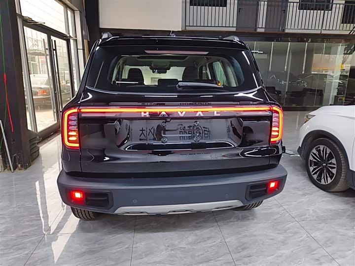 Фото 6 - Haval Dargo