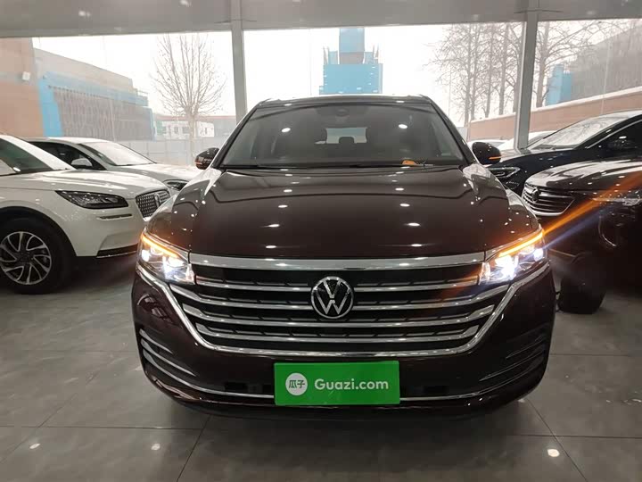 Фото 3 - Volkswagen Viloran