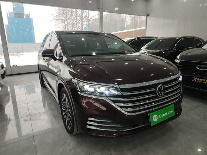 Фото 4 - Volkswagen Viloran