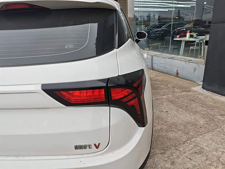 Фото 8 - Hozon V