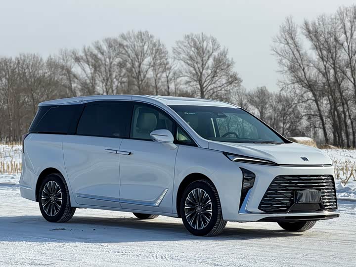 Фото 2 - Buick GL8 ES