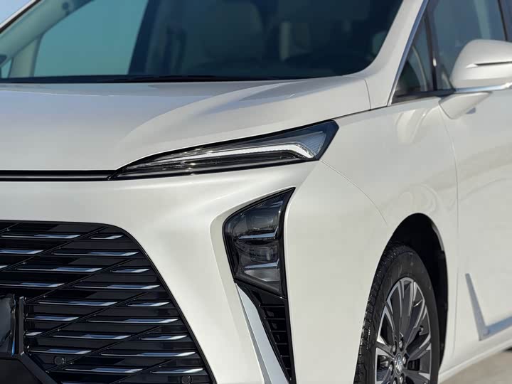 Фото 4 - Buick GL8 ES