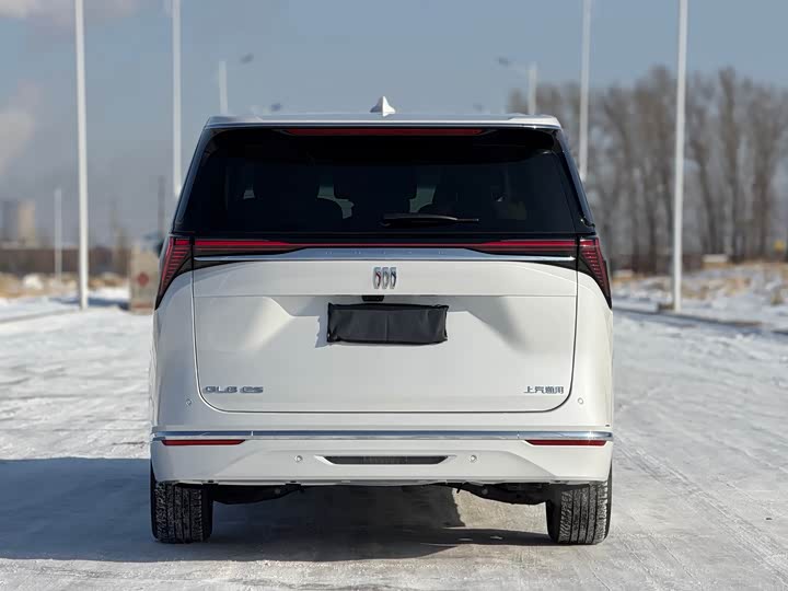 Фото 6 - Buick GL8 ES