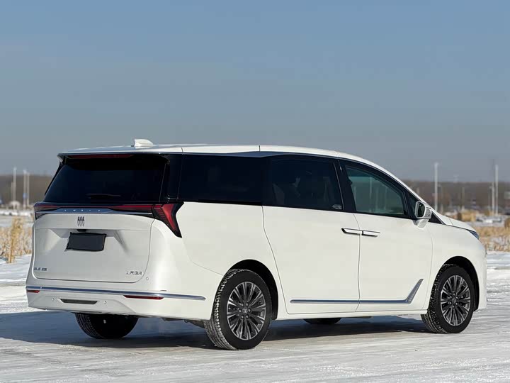 Фото 7 - Buick GL8 ES