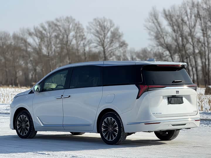 Фото 8 - Buick GL8 ES