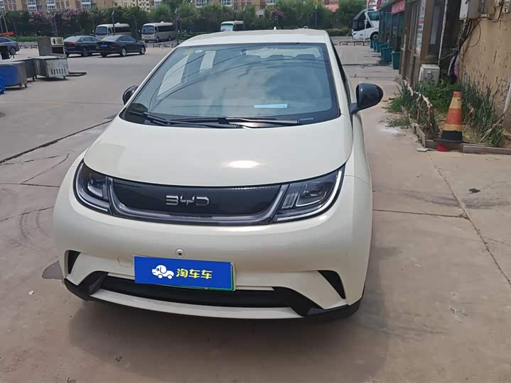 Фото 2 - BYD Dolphin