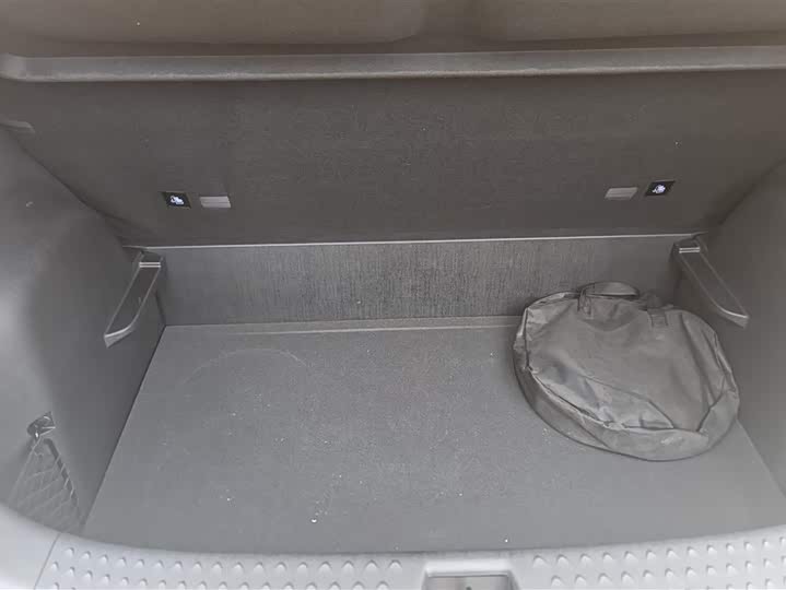 Фото 4 - BYD Dolphin