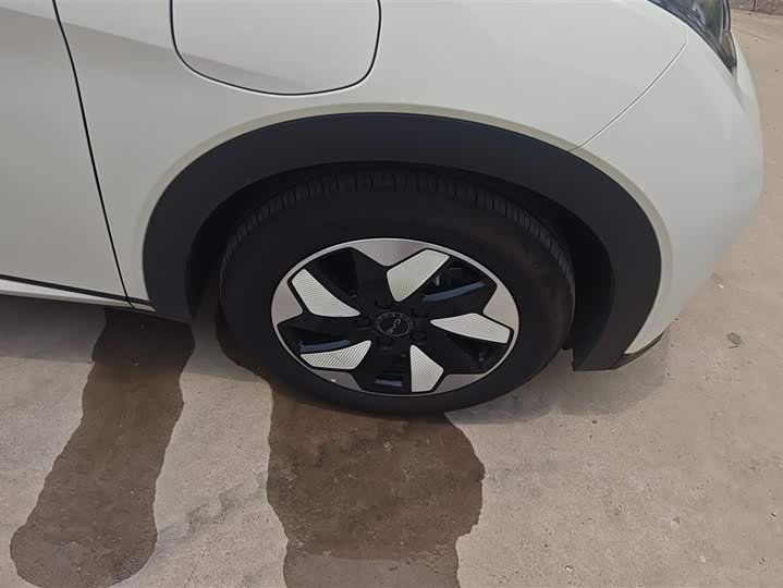 Фото 6 - BYD Dolphin