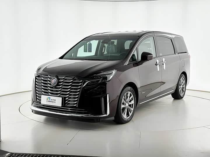 Фото 2 - Buick GL8 ES