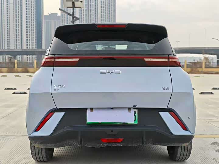 Фото 8 - BYD Seagull