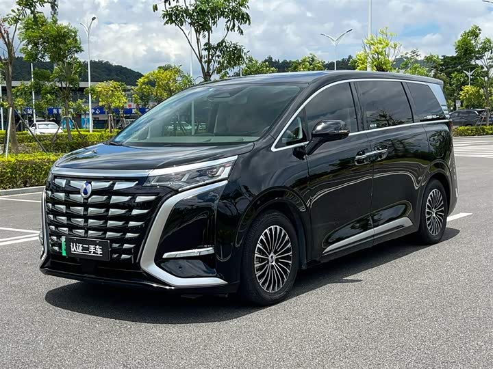 Фото 1 - Denza D9