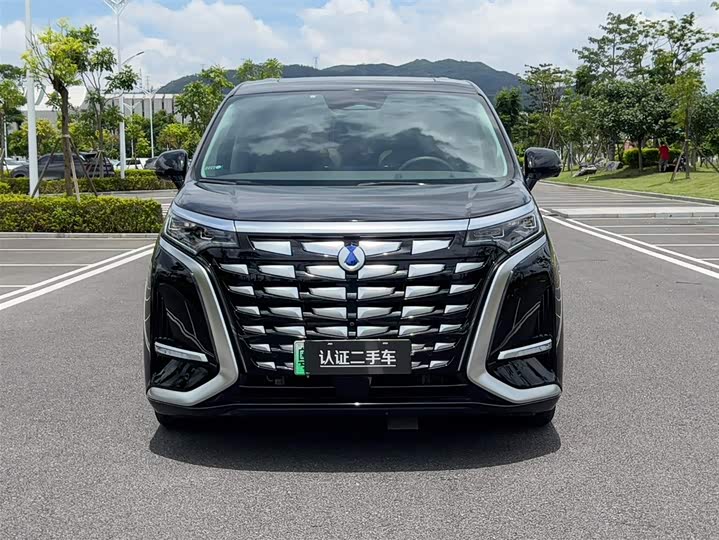 Фото 2 - Denza D9