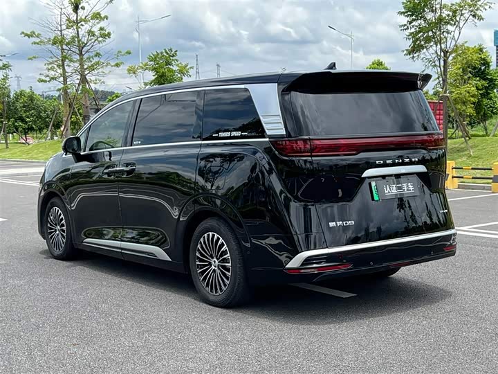 Фото 7 - Denza D9