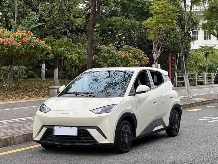 Фото 1 - BYD Seagull