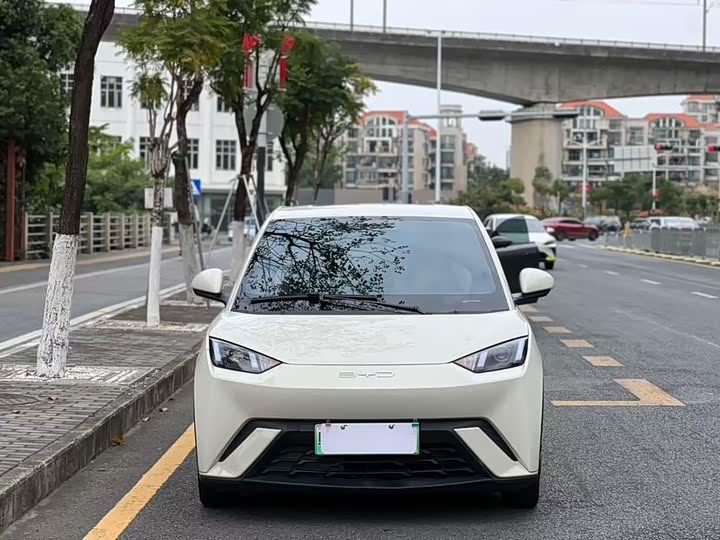 Фото 2 - BYD Seagull