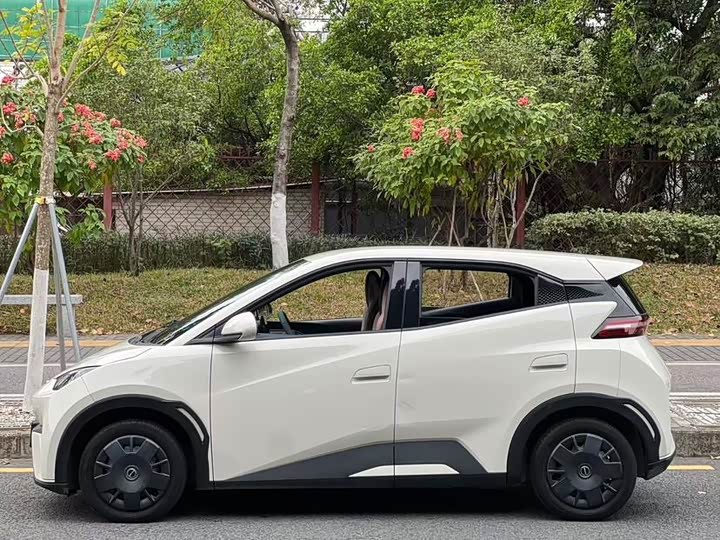 Фото 3 - BYD Seagull