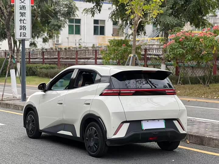 Фото 4 - BYD Seagull