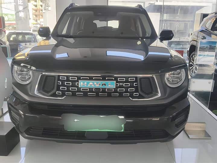Фото 2 - Haval H-Dog Hybrid