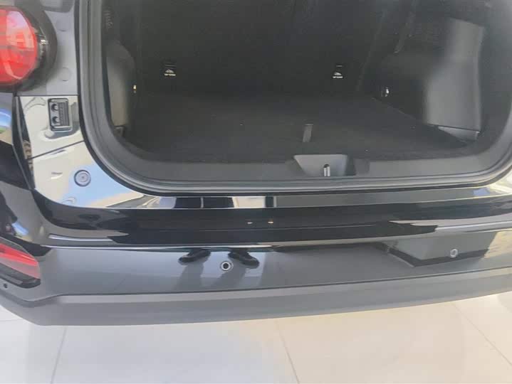 Фото 4 - Haval H-Dog Hybrid