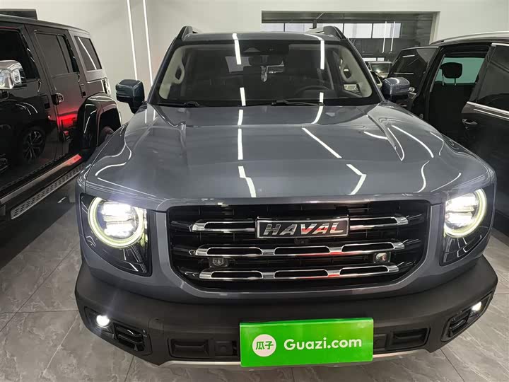 Фото 3 - Haval Dargo