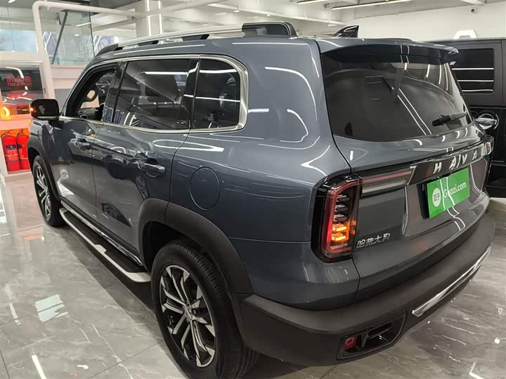 Фото 5 - Haval Dargo