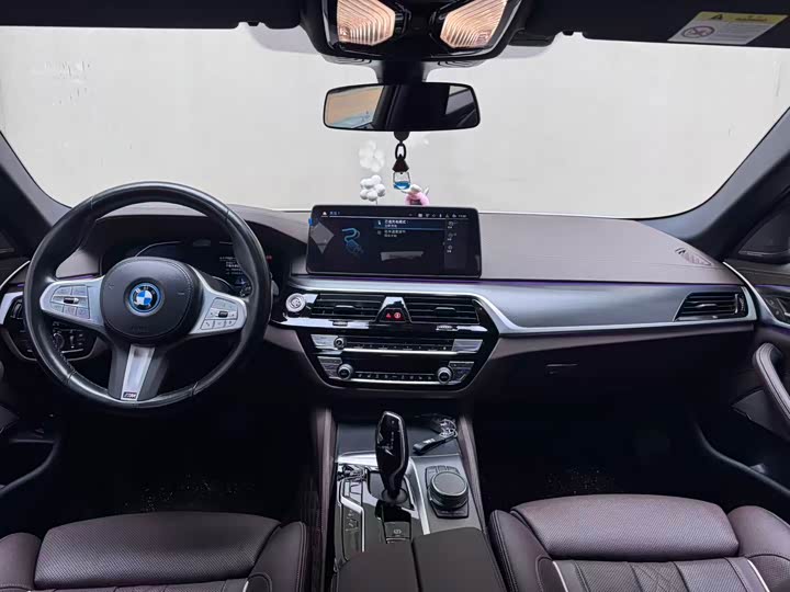 Фото 5 - BMW 5 Series Hybrid