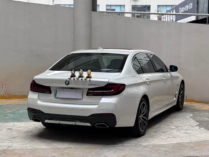 Фото 7 - BMW 5 Series Hybrid