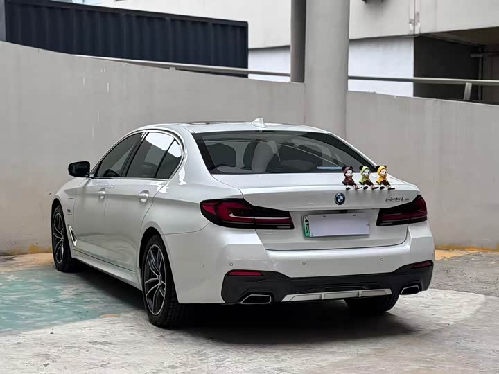 Фото 9 - BMW 5 Series Hybrid