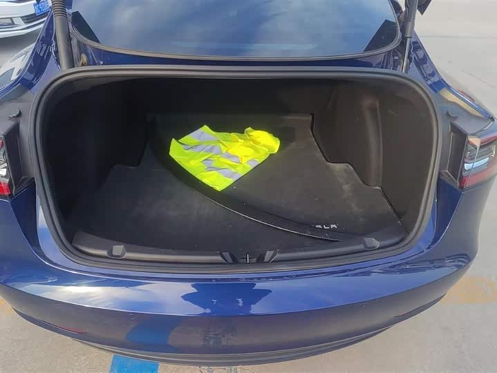 Фото 4 - Tesla Model 3