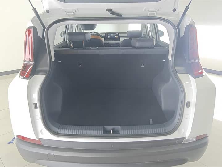 Фото 4 - Bestune NAT