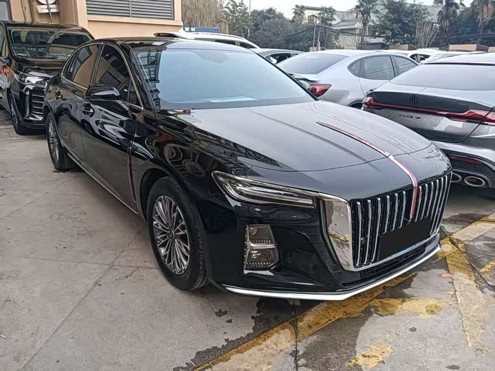 Фото 3 - Hongqi H5