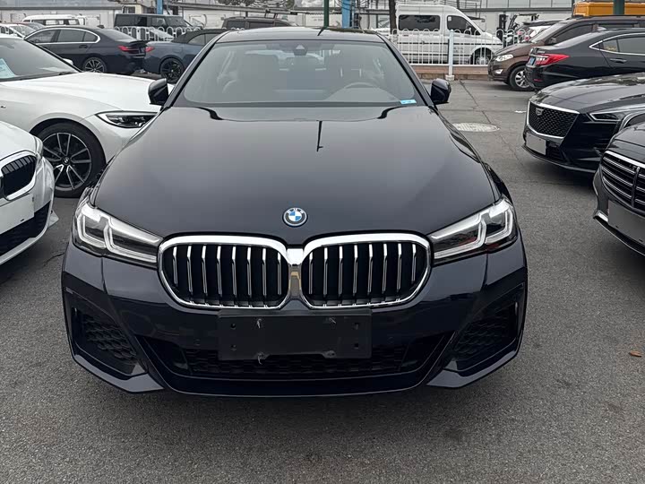 Фото 1 - BMW 5 Series Hybrid