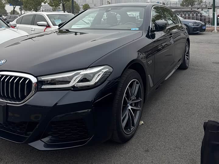 Фото 2 - BMW 5 Series Hybrid