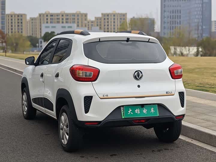 Фото 4 - Dongfeng Nammi Nano EX1 Pro