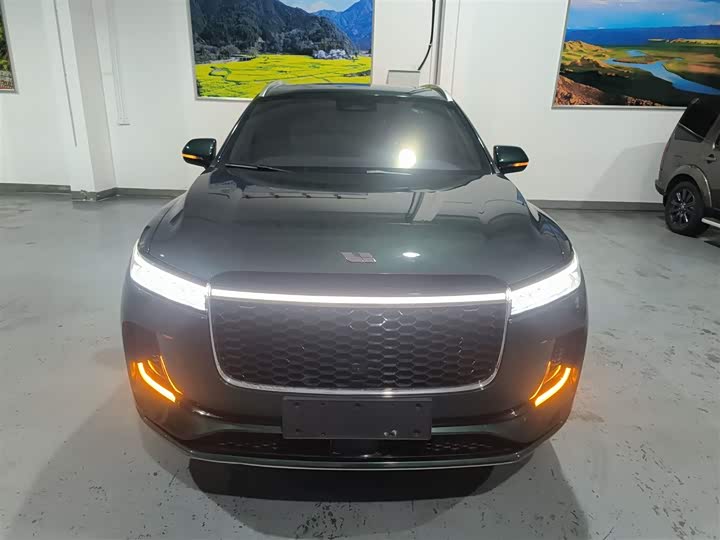 Фото 3 - LiXiang One