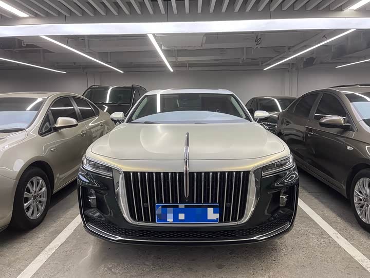 Фото 2 - Hongqi H9