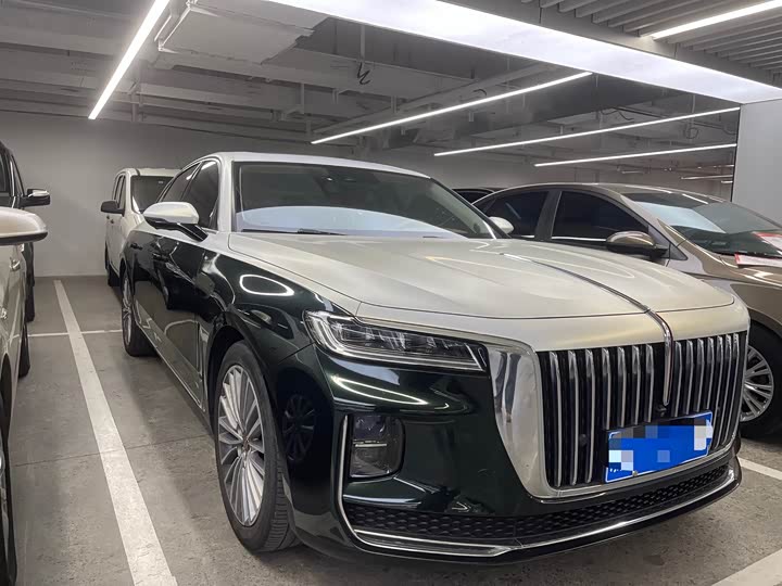 Фото 3 - Hongqi H9