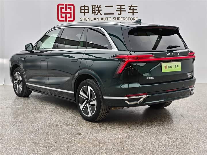 Фото 4 - Wey Lanshan