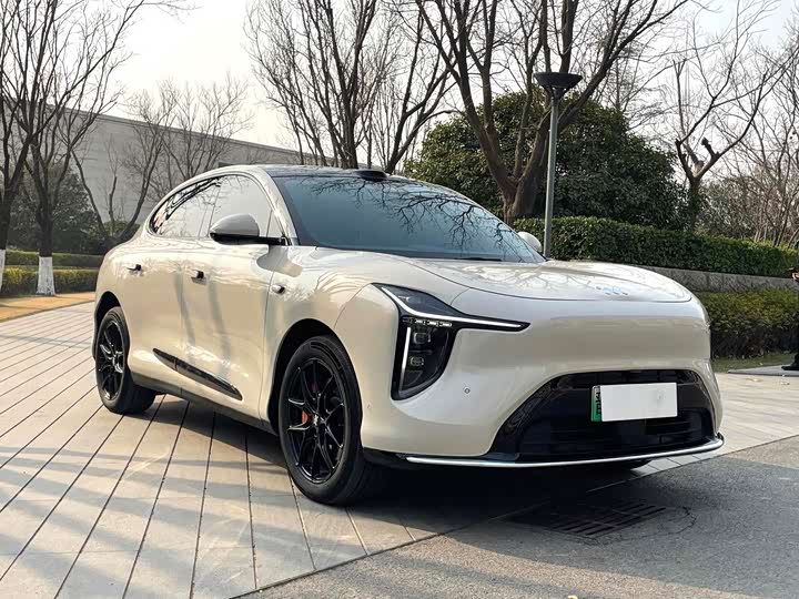 Фото 3 - IM motors LS6