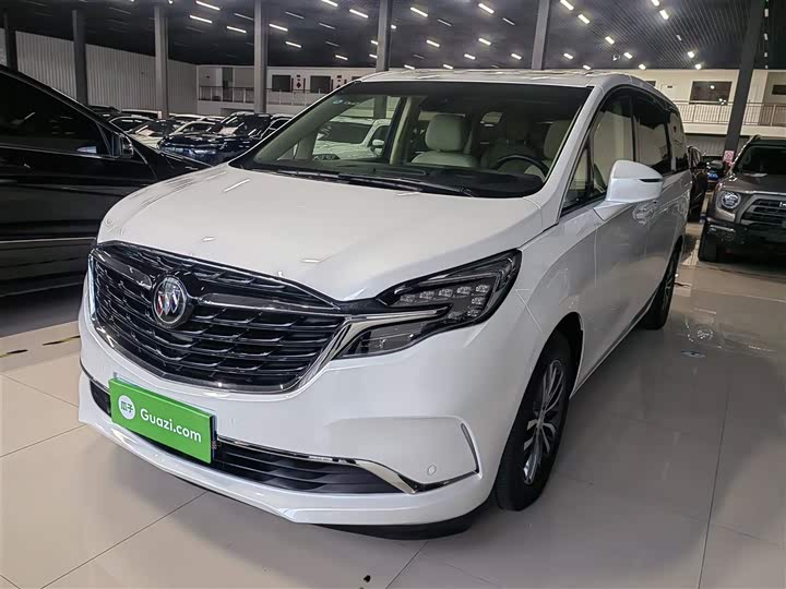 Фото 1 - Buick GL8 ES