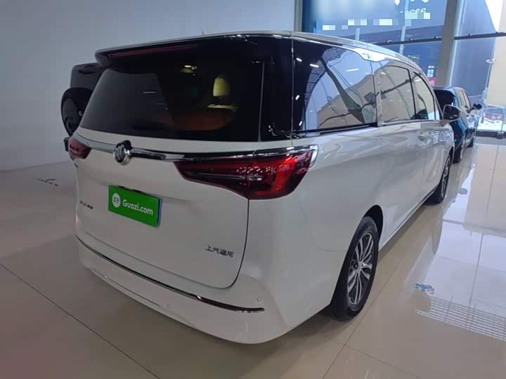 Фото 7 - Buick GL8 ES