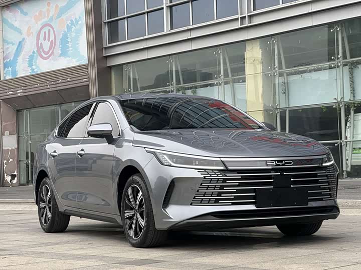 Фото 3 - BYD Destroyer 05